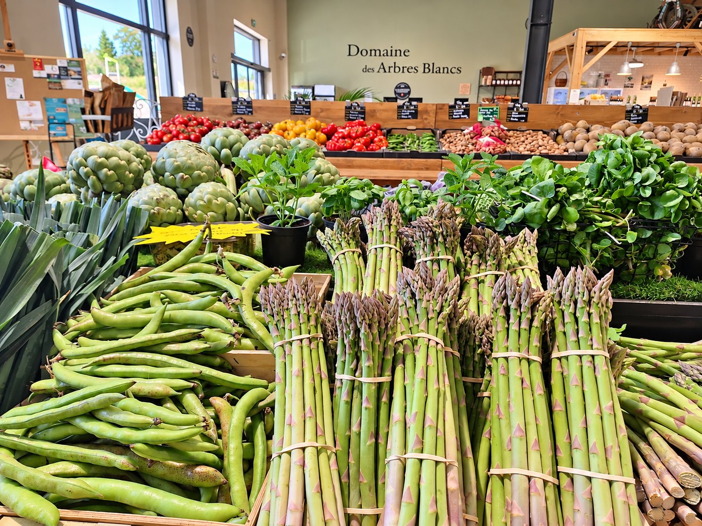 Les étals de légumes frais de la boutique du Domaine des Arbres Blancs